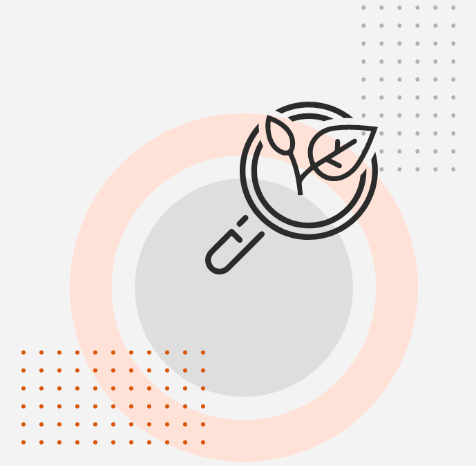 Organic Search Marketing